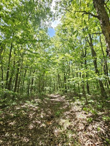 24 Blumont Drive Altamont TN 37301