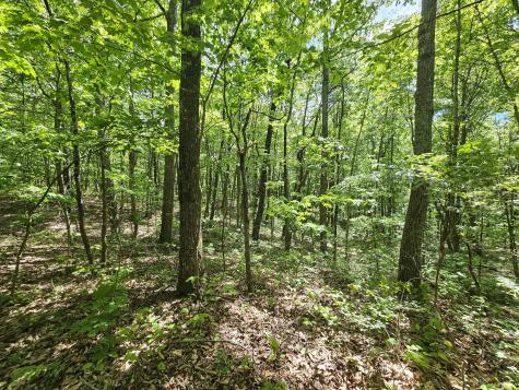 24 Blumont Drive Altamont TN 37301