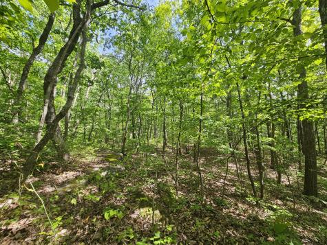 24 Blumont Drive Altamont TN 37301