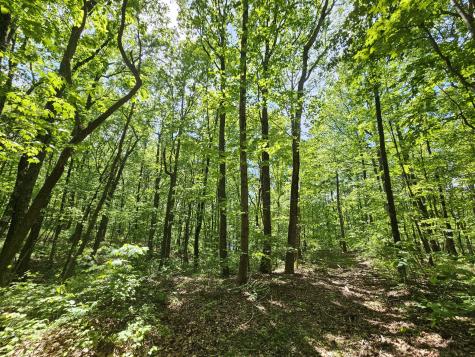 24 Blumont Drive Altamont TN 37301