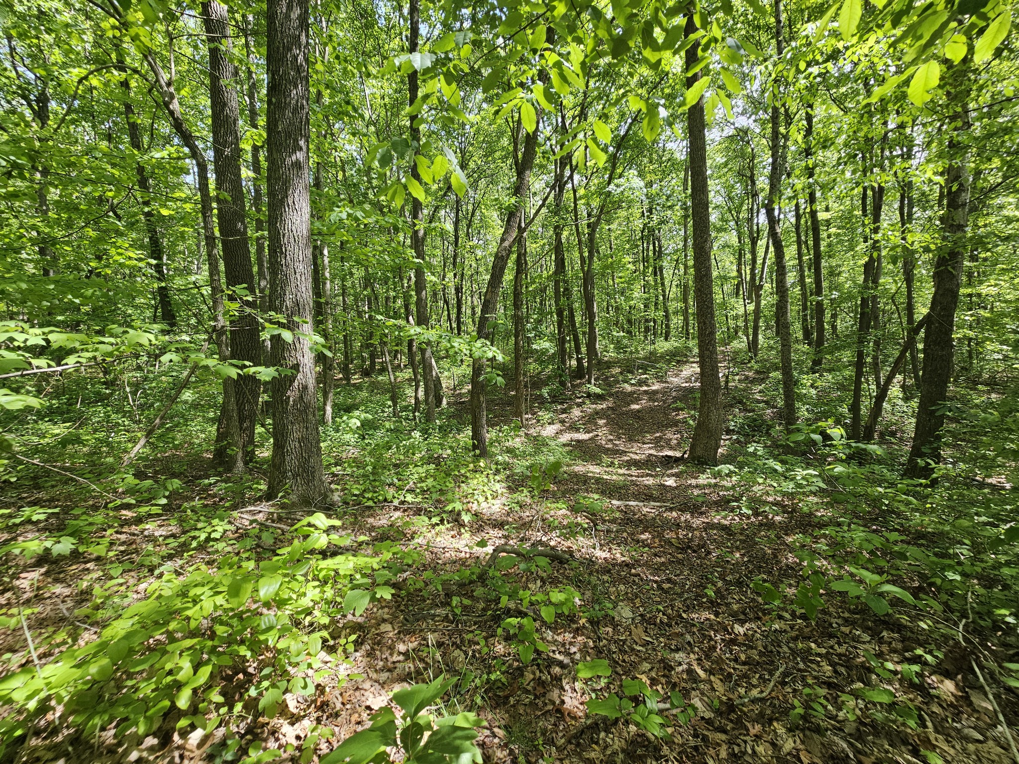 24 Blumont Drive Altamont TN 37301