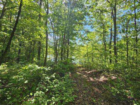 24 Blumont Drive Altamont TN 37301