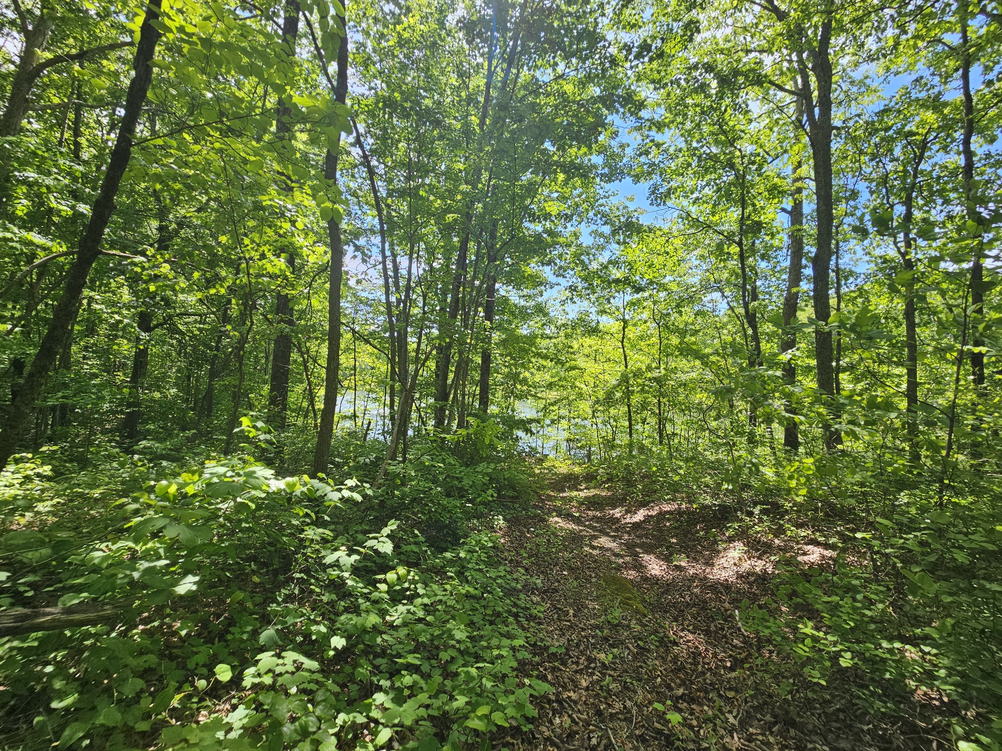 24 Blumont Drive Altamont TN 37301