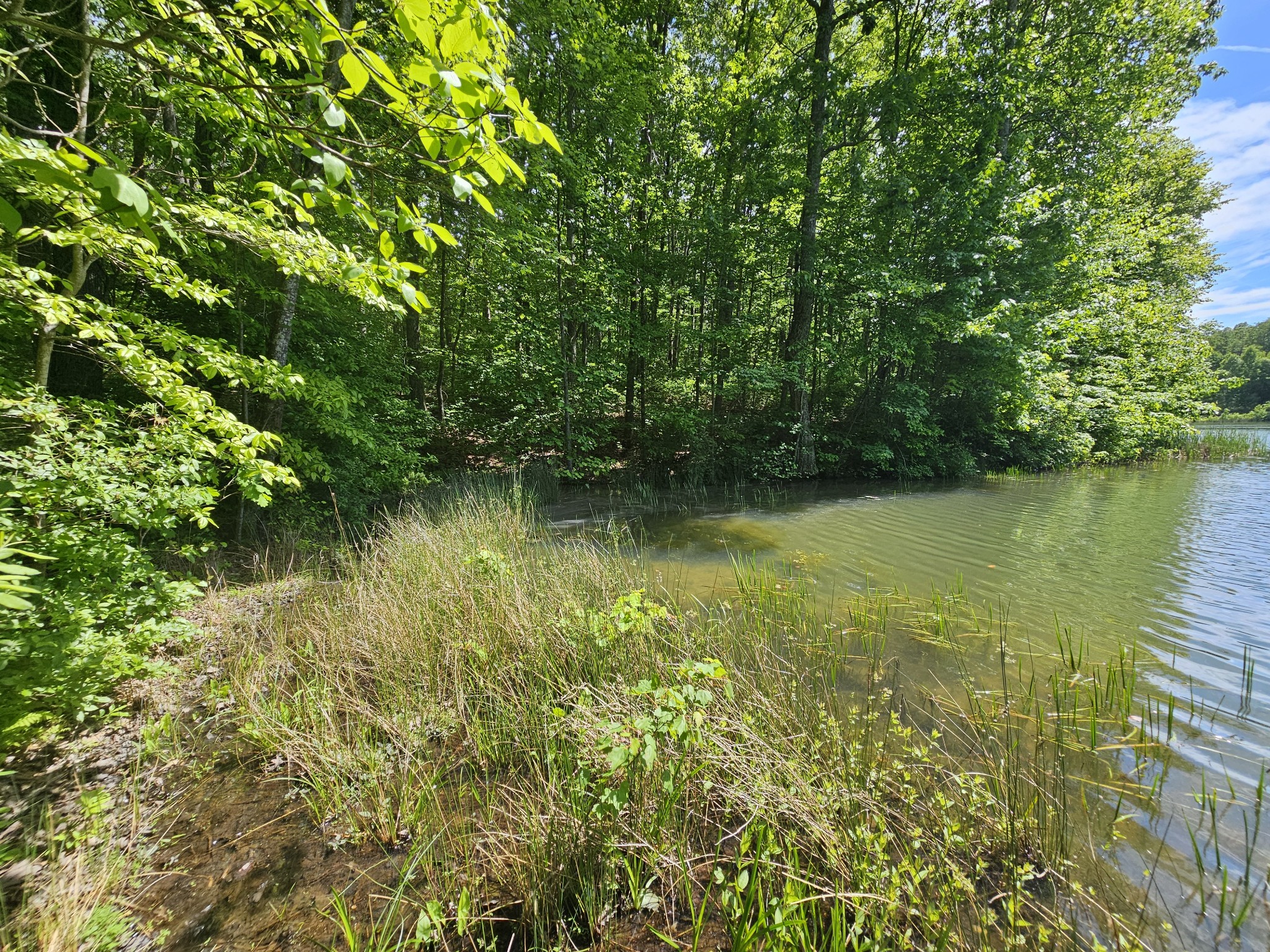24 Blumont Drive Altamont TN 37301