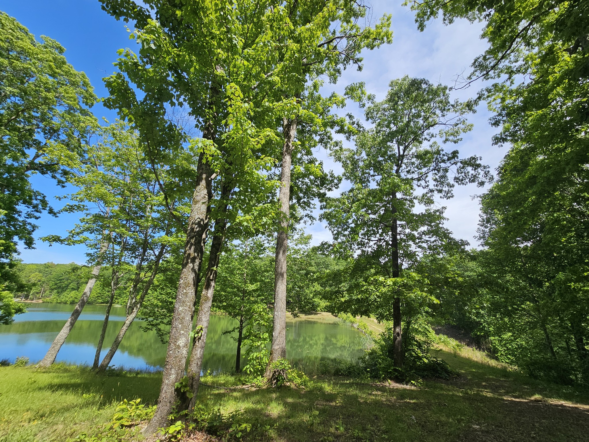 24 Blumont Drive Altamont TN 37301