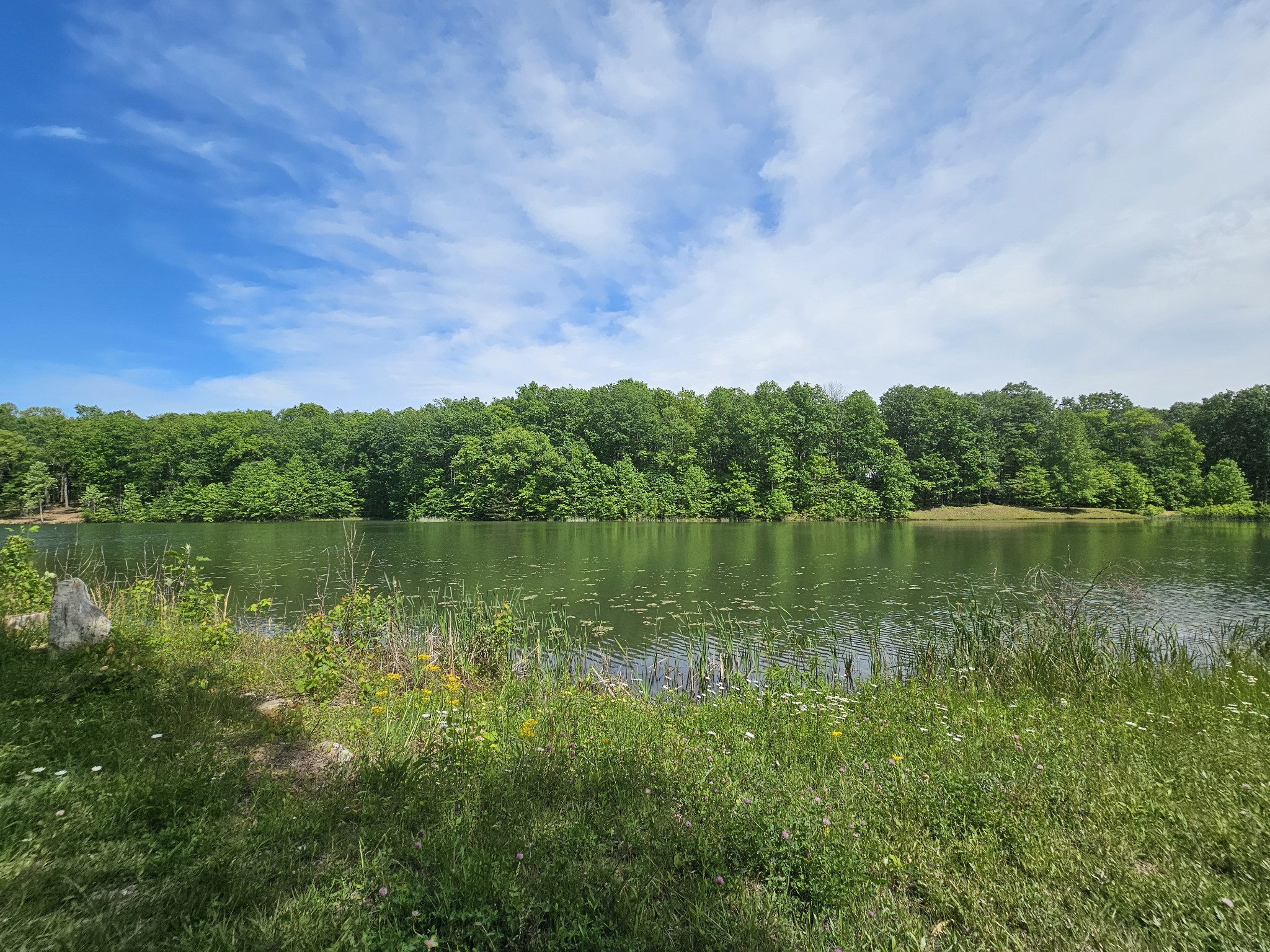 24 Blumont Drive Altamont TN 37301
