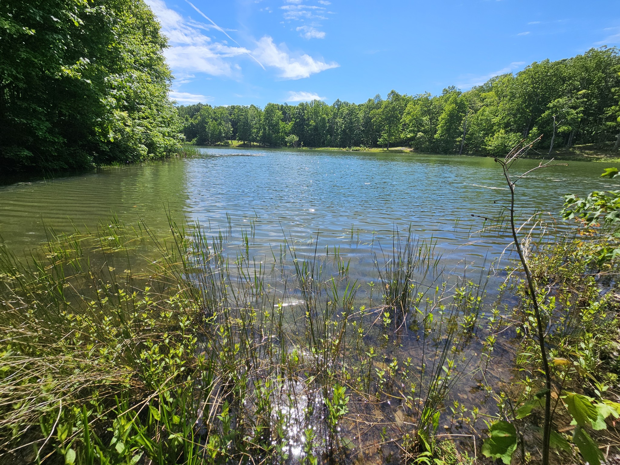 24 Blumont Drive Altamont TN 37301