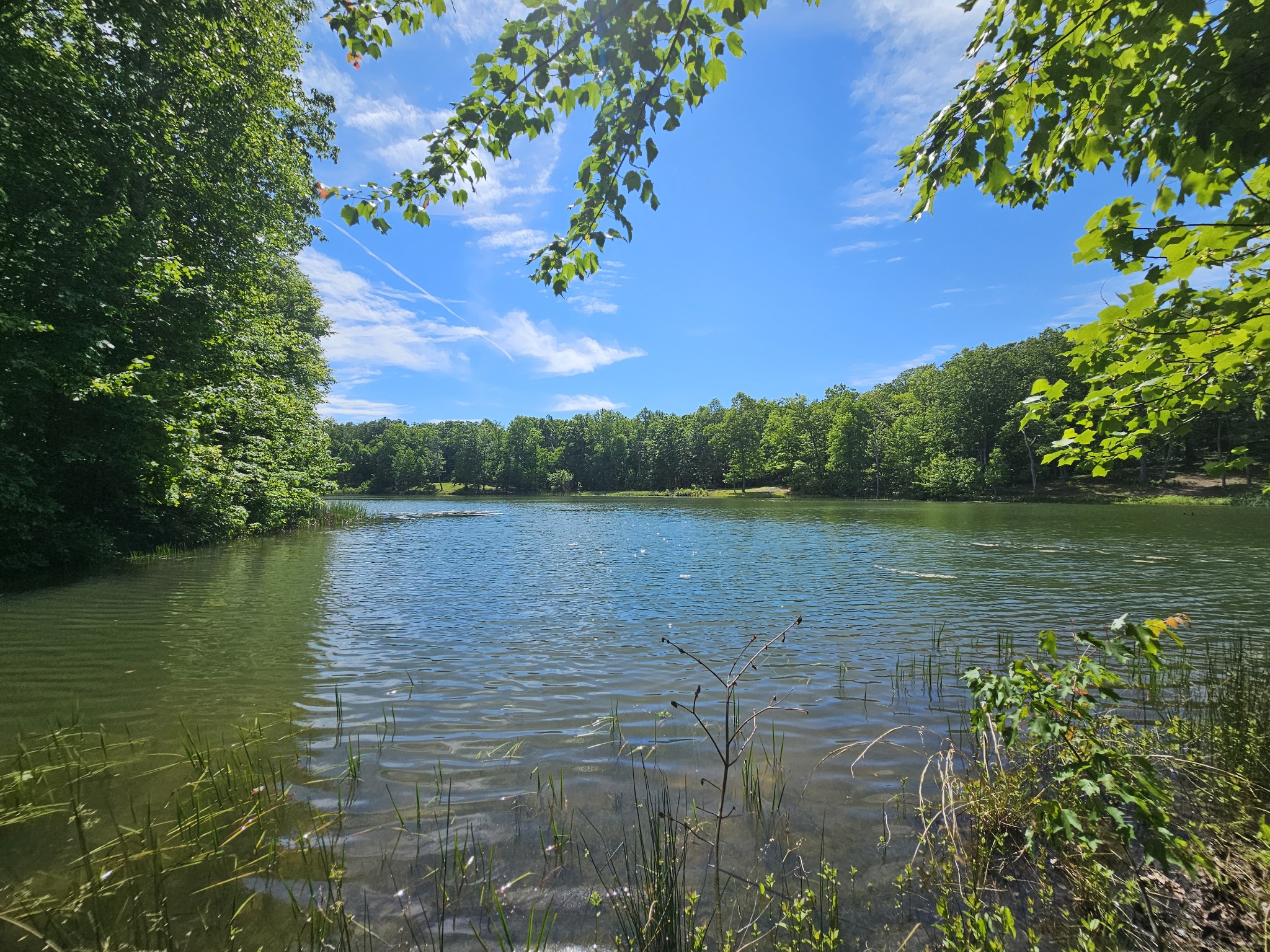 24 Blumont Drive Altamont TN 37301