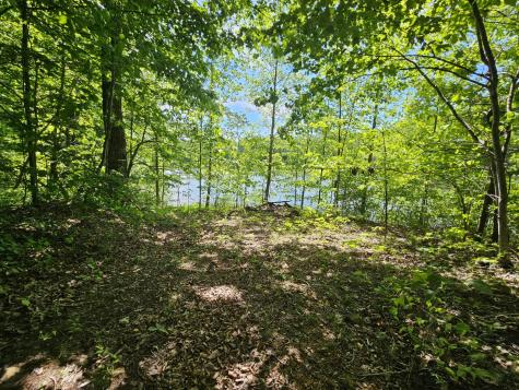 24 Blumont Drive Altamont TN 37301