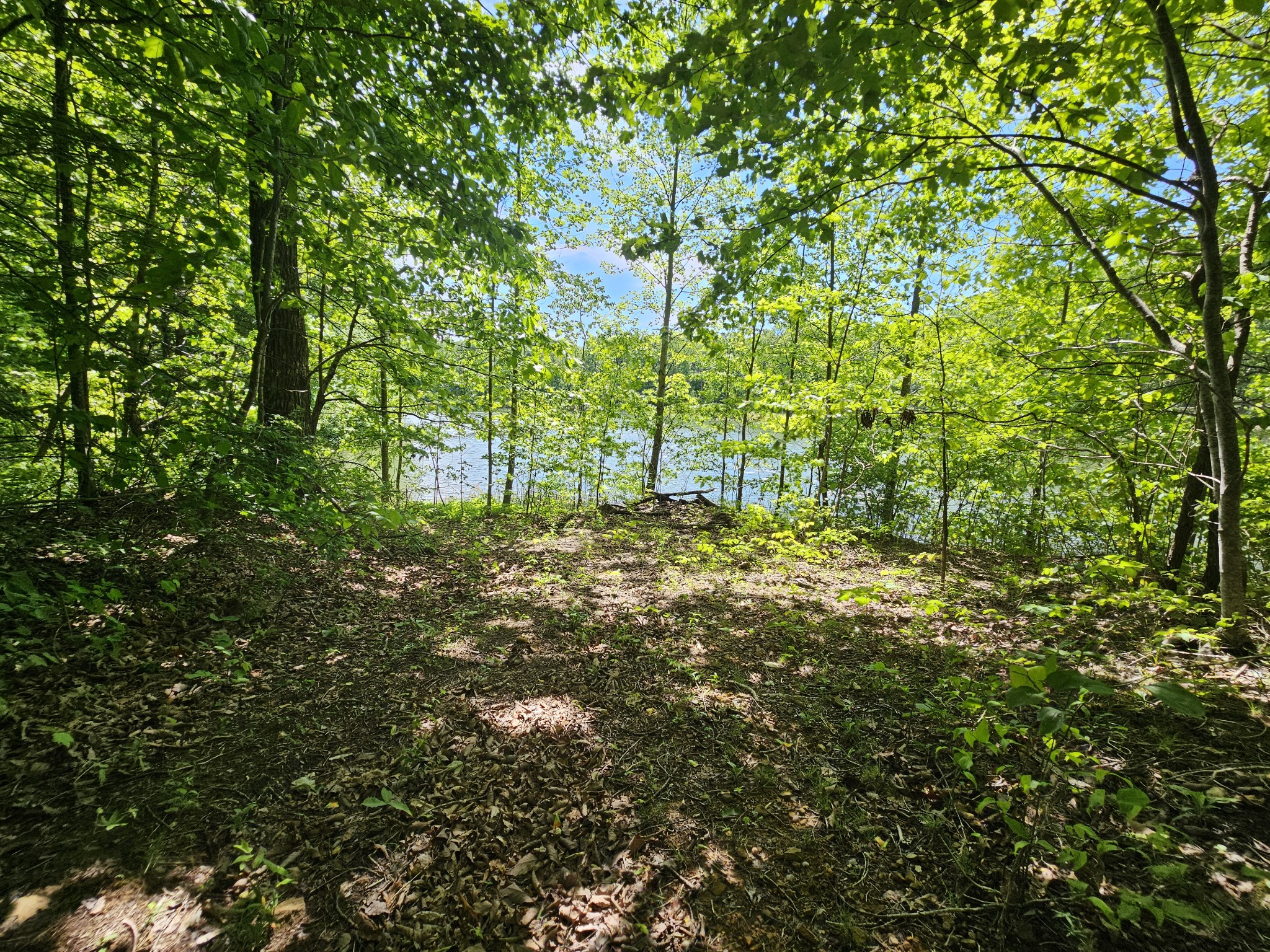 24 Blumont Drive Altamont TN 37301