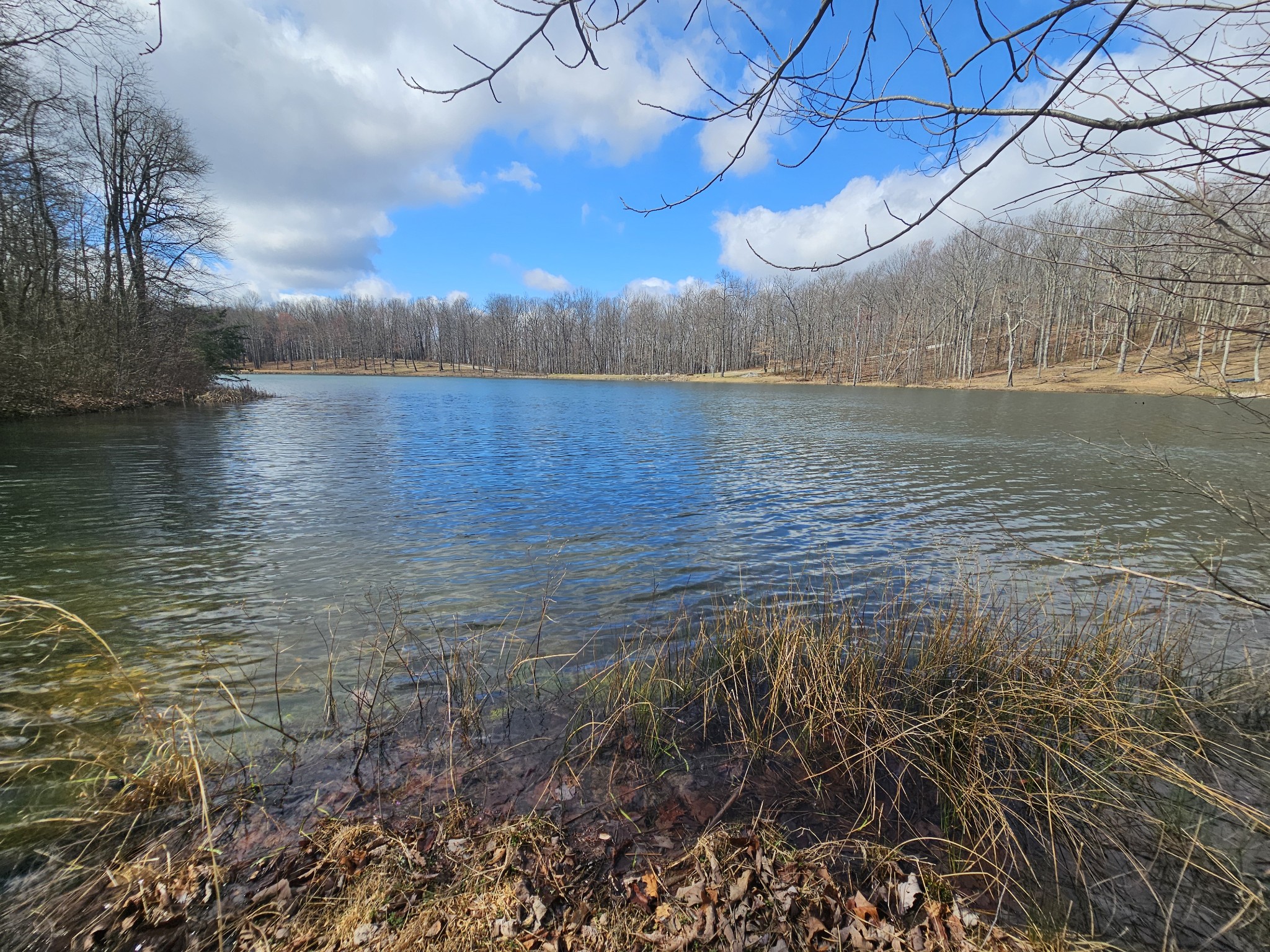 24 Blumont Drive Altamont TN 37301