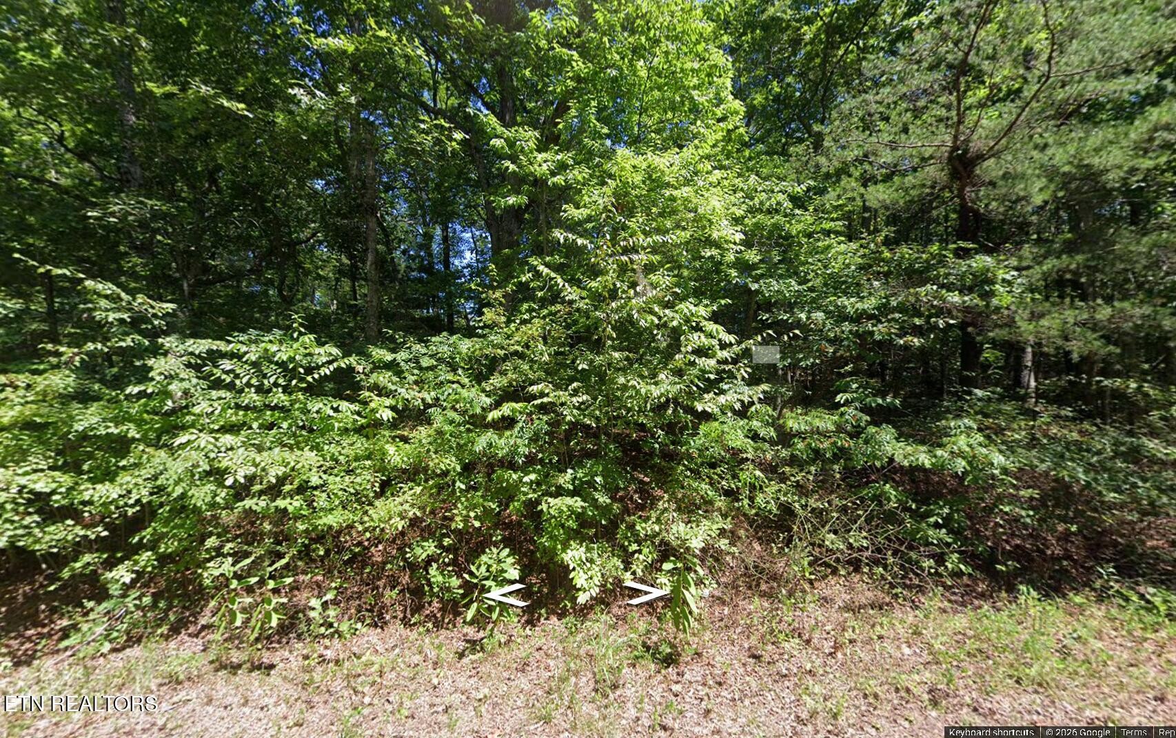 2026 Pahokee Lane Crossville TN 38572
