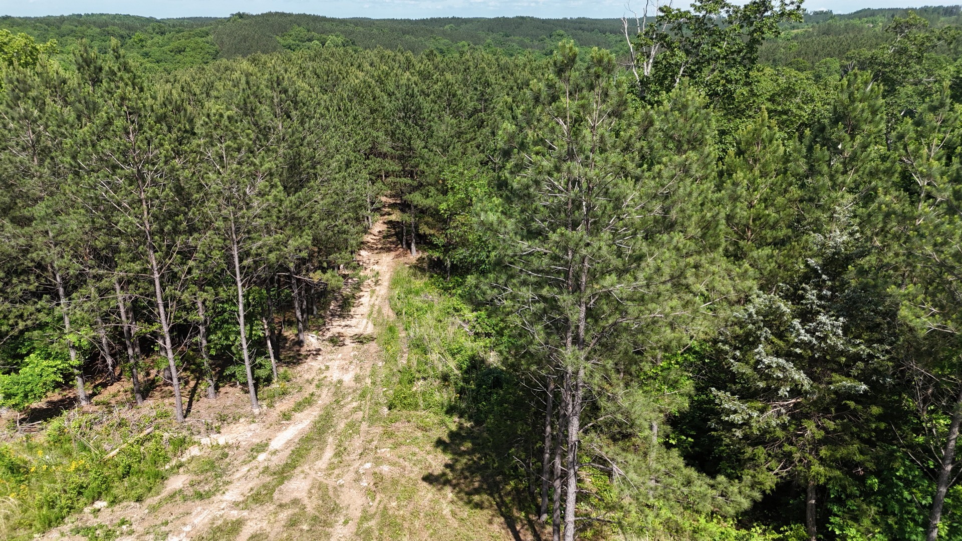 3149 Mcgee Road Linden TN 37096