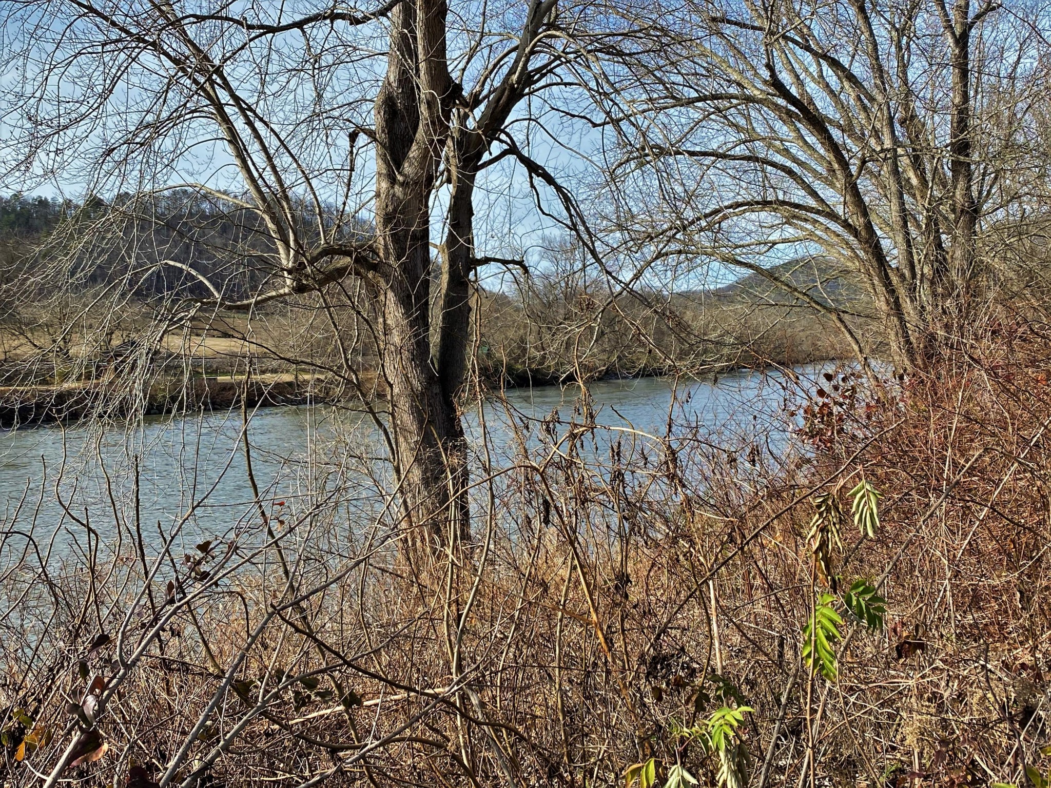 0 River Rapids Way Del Rio TN 37727