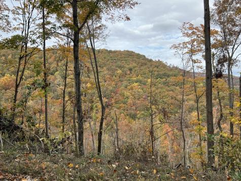 0 Campbell Highlands Drive Pioneer TN 37847
