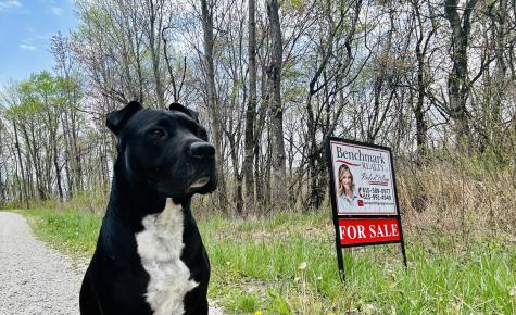 0 Campbell Highlands Drive Pioneer TN 37847