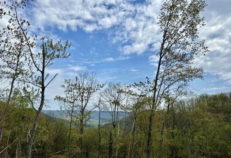 0 Campbell Highlands Drive Pioneer TN 37847