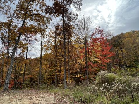 0 Campbell Highlands Drive Pioneer TN 37847