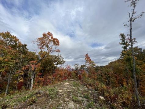0 Campbell Highlands Drive Pioneer TN 37847