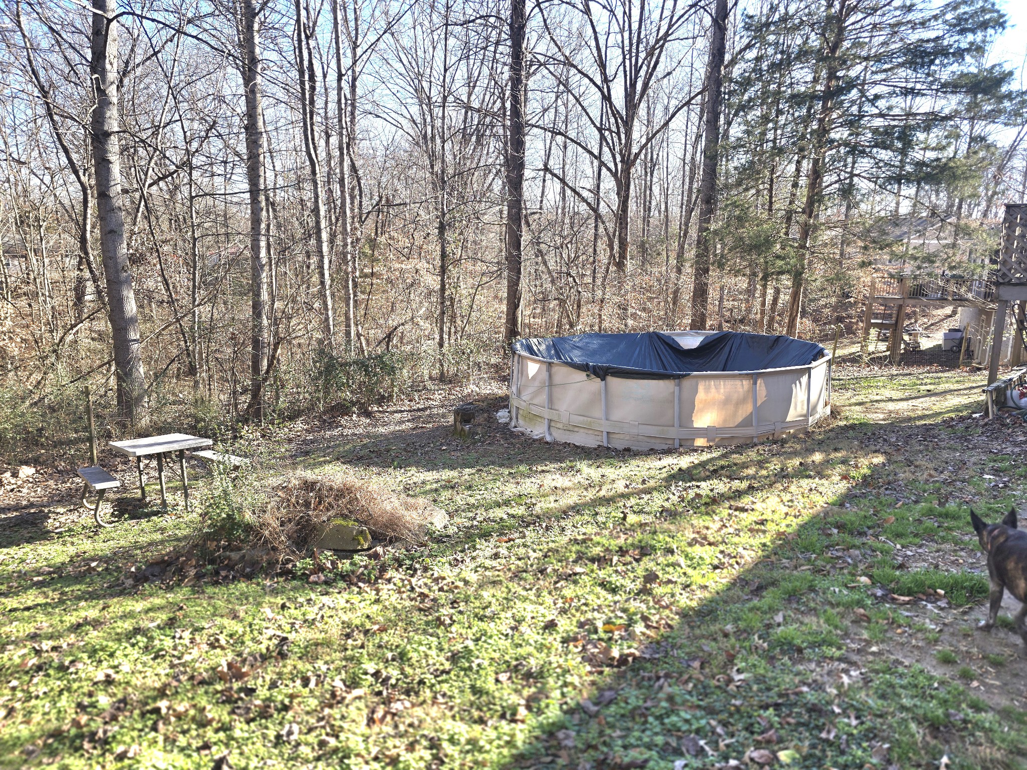 607 Evening Shade Dr, S White Bluff TN 37187
