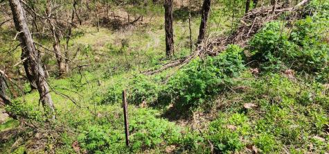 0 Chapman Hollow Road Dowelltown TN 37059