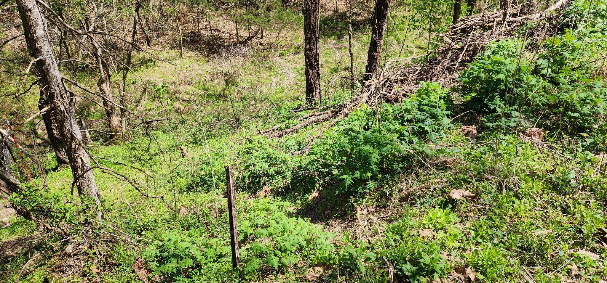 0 Chapman Hollow Road Dowelltown TN 37059