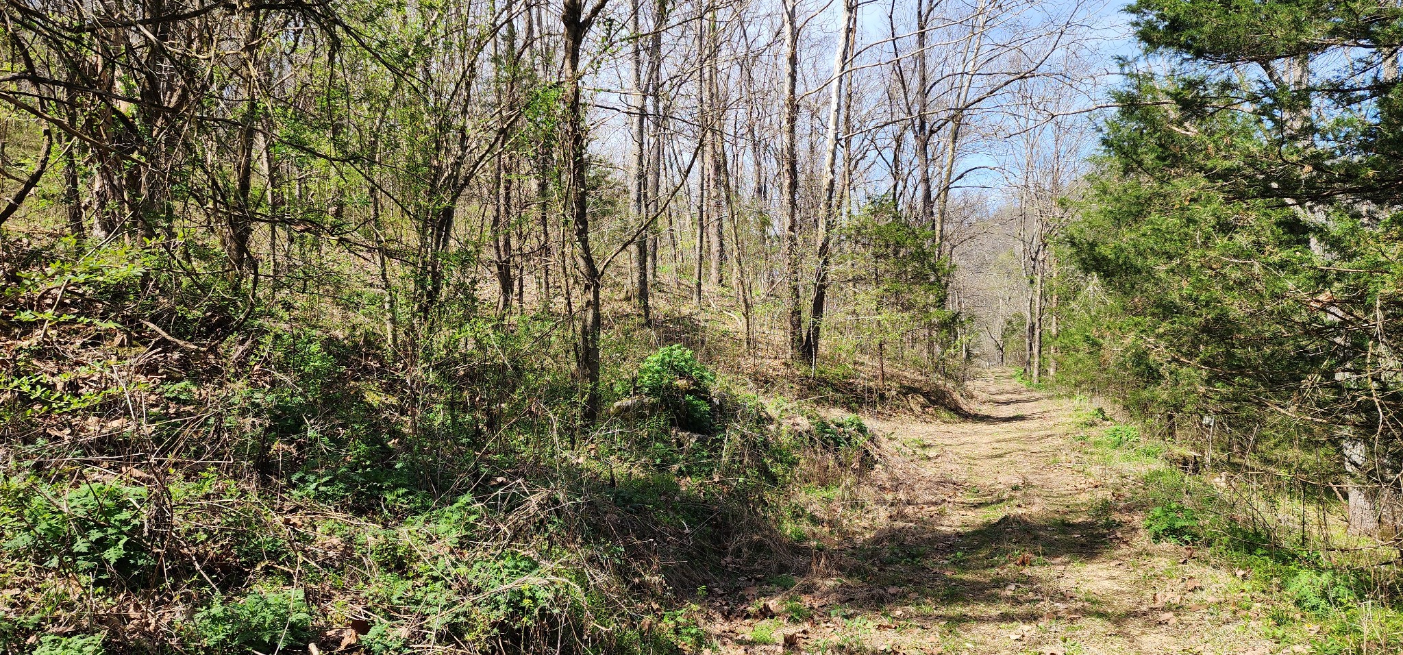 0 Chapman Hollow Road Dowelltown TN 37059