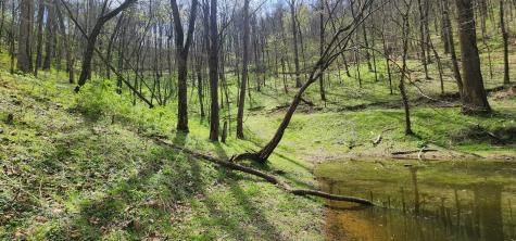 0 Chapman Hollow Road Dowelltown TN 37059