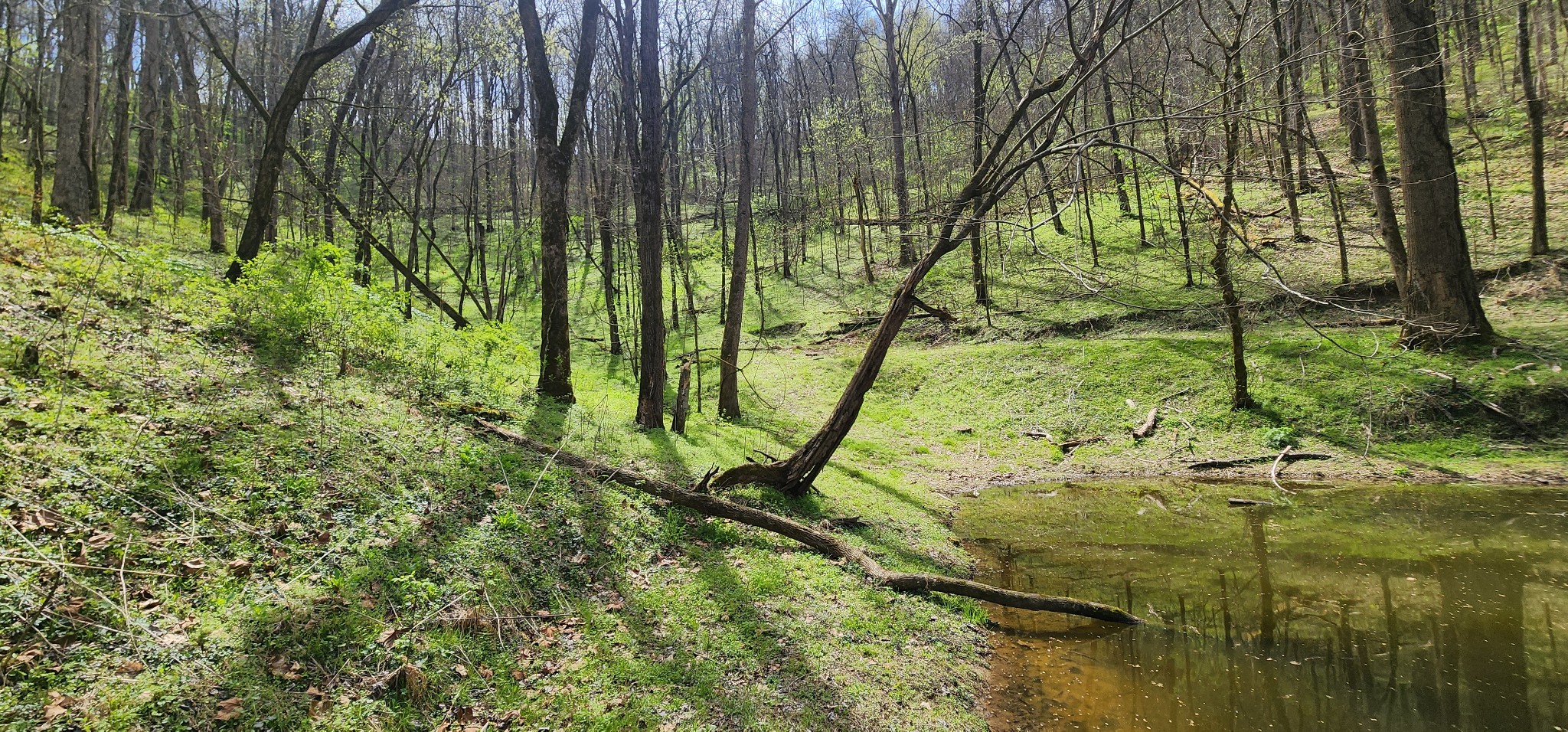 0 Chapman Hollow Road Dowelltown TN 37059