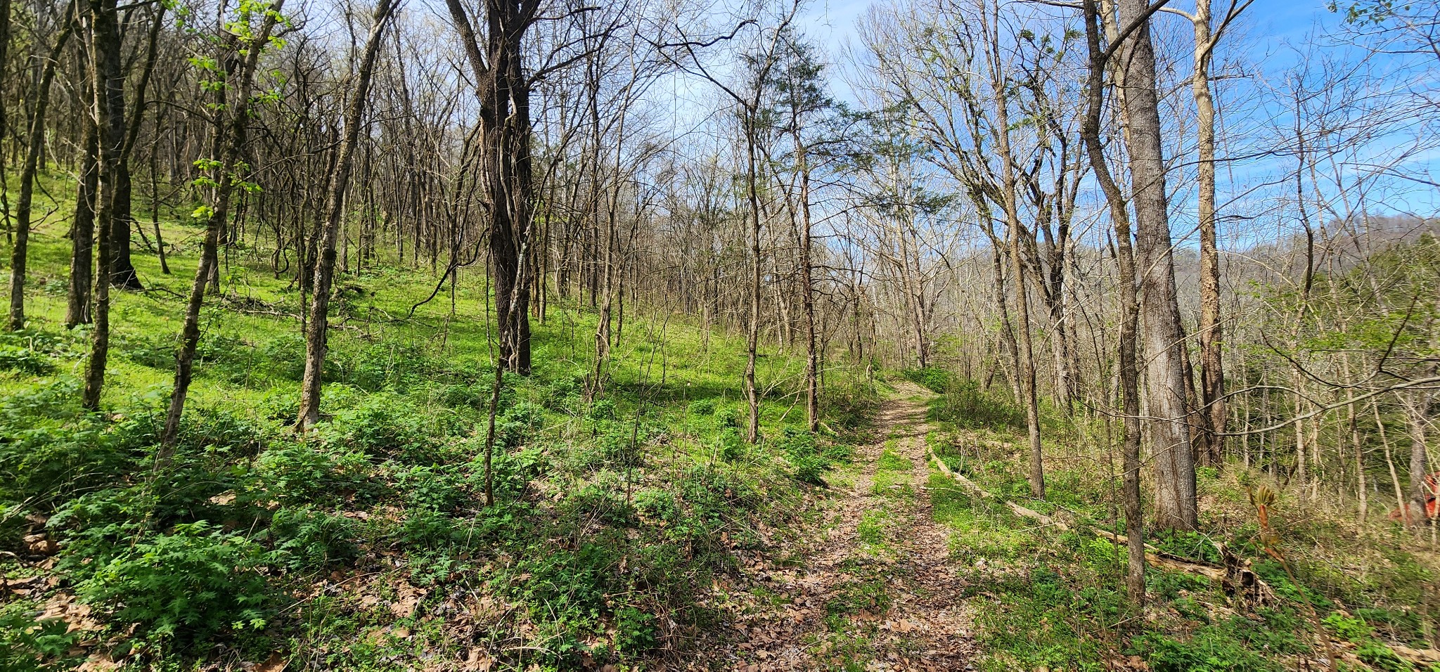 0 Chapman Hollow Road Dowelltown TN 37059