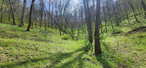 0 Chapman Hollow Road Dowelltown TN 37059