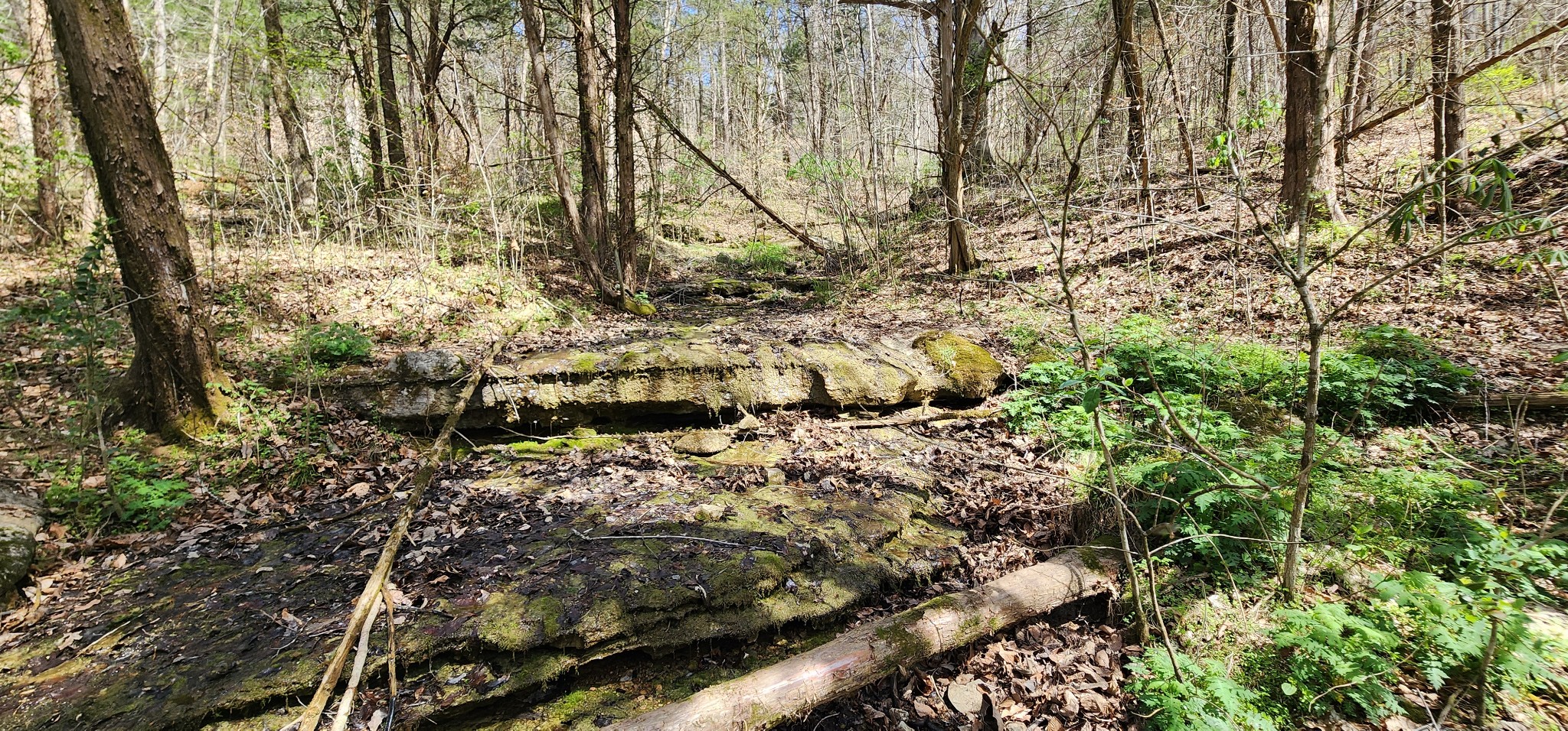 0 Chapman Hollow Road Dowelltown TN 37059