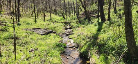0 Chapman Hollow Road Dowelltown TN 37059