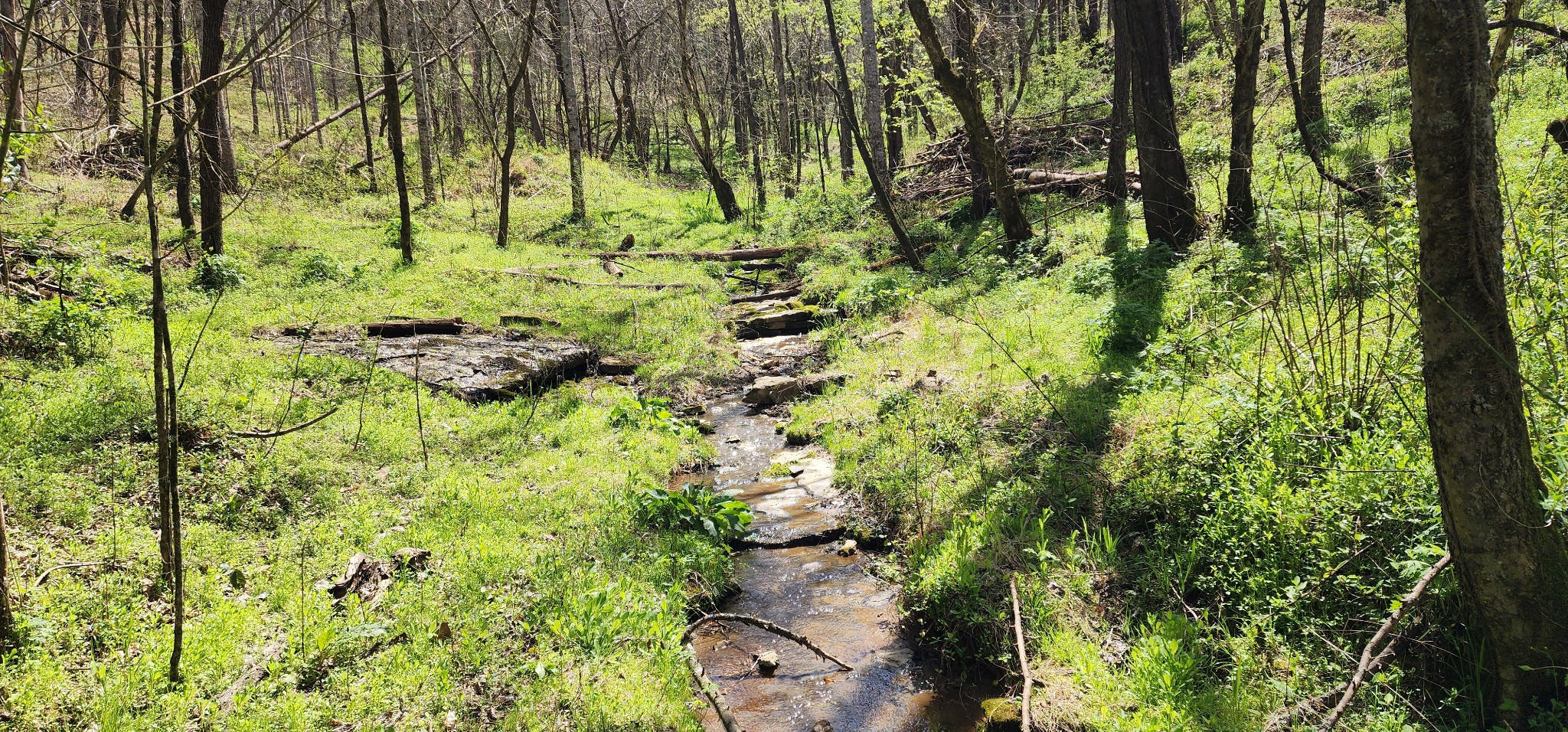 0 Chapman Hollow Road Dowelltown TN 37059