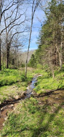 0 Chapman Hollow Road Dowelltown TN 37059