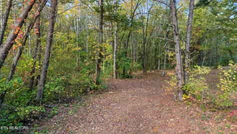 209 Ridge Road Maryville TN 37803