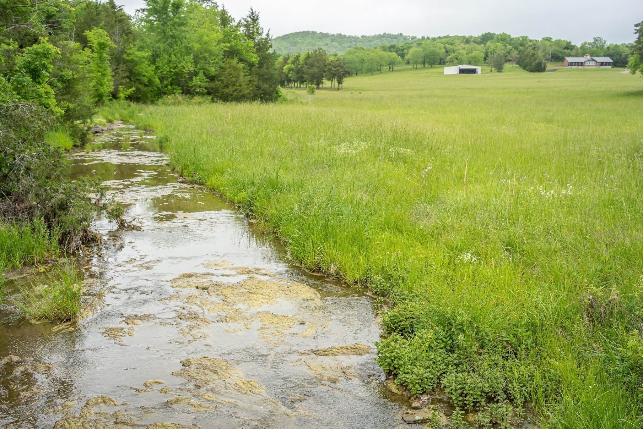 521 Coop Road Bell Buckle TN 37020
