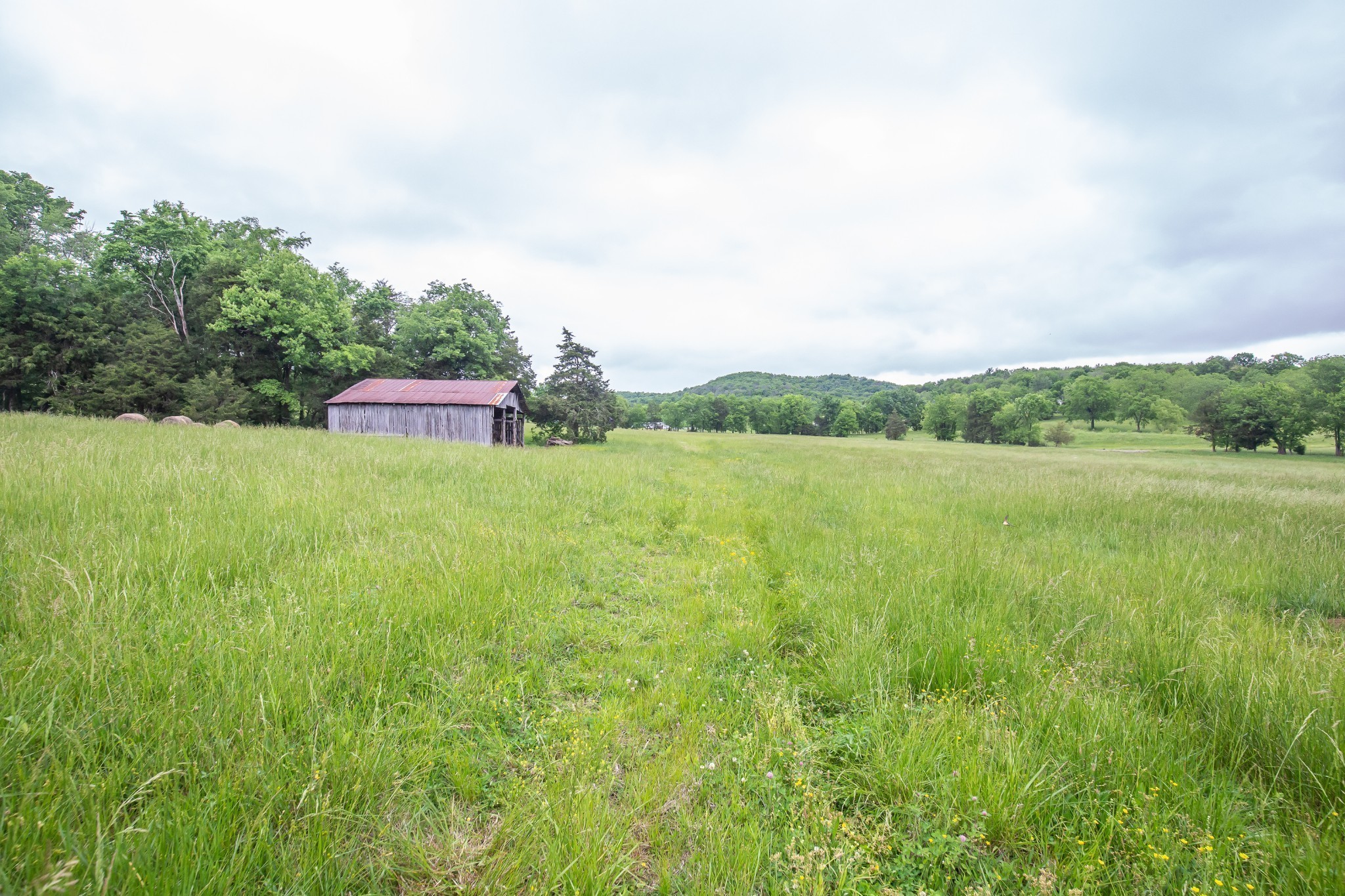 521 Coop Road Bell Buckle TN 37020