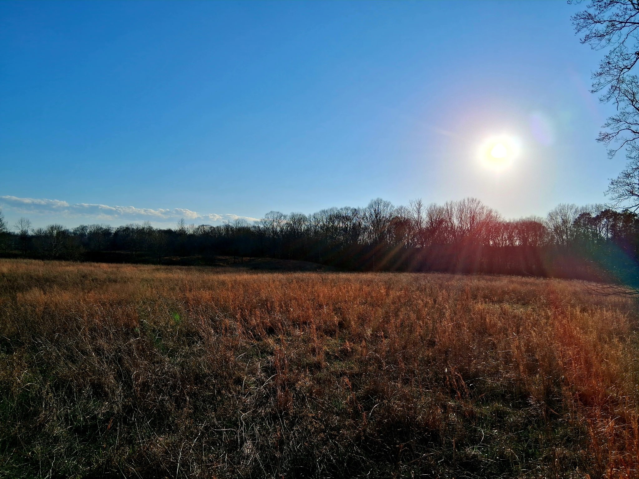 0 Burr Road Springfield TN 37172