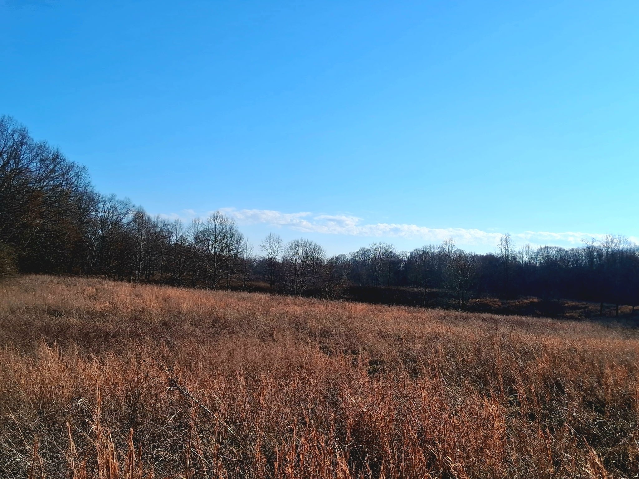 0 Burr Road Springfield TN 37172
