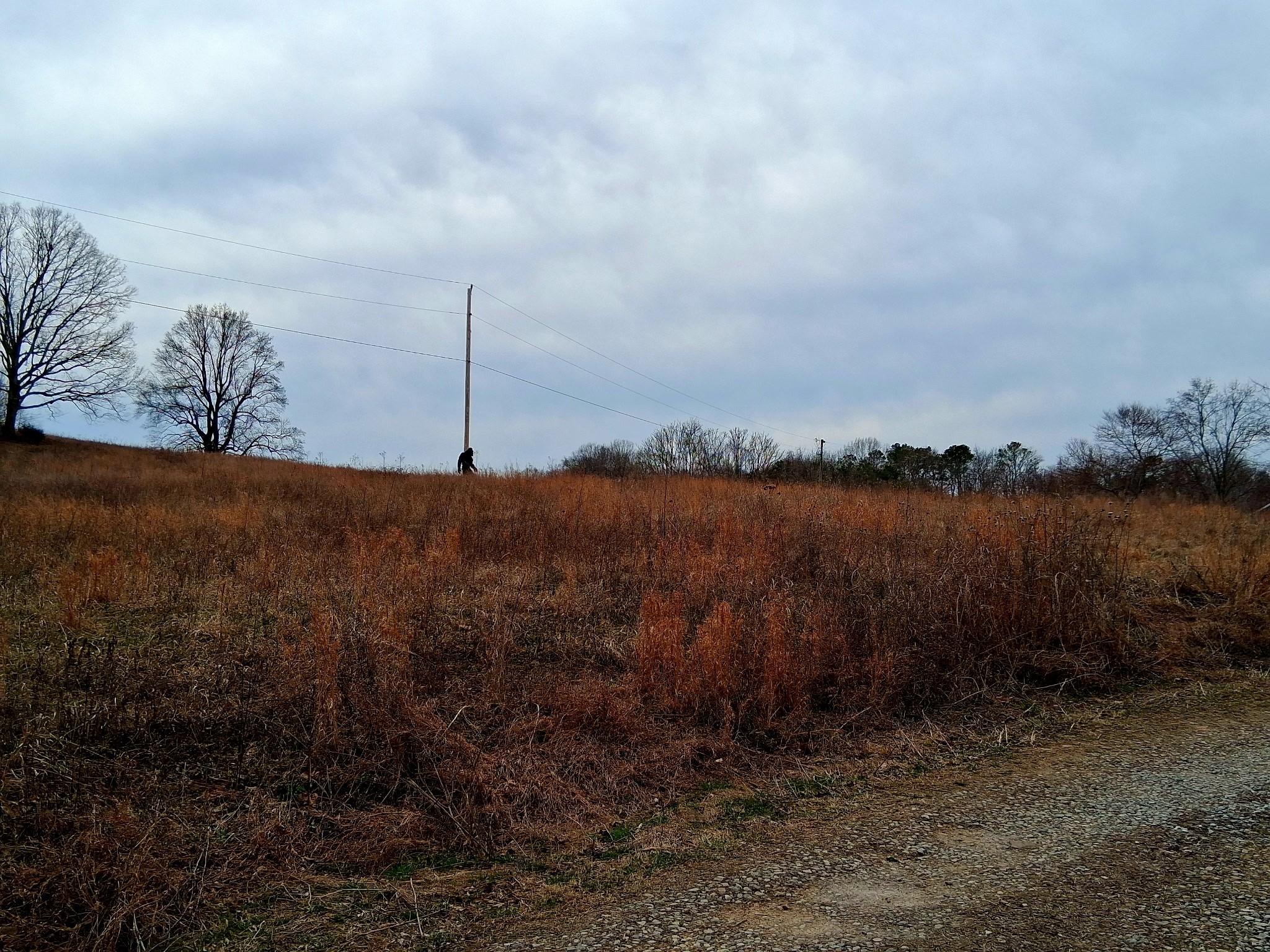 0 Burr Road Springfield TN 37172