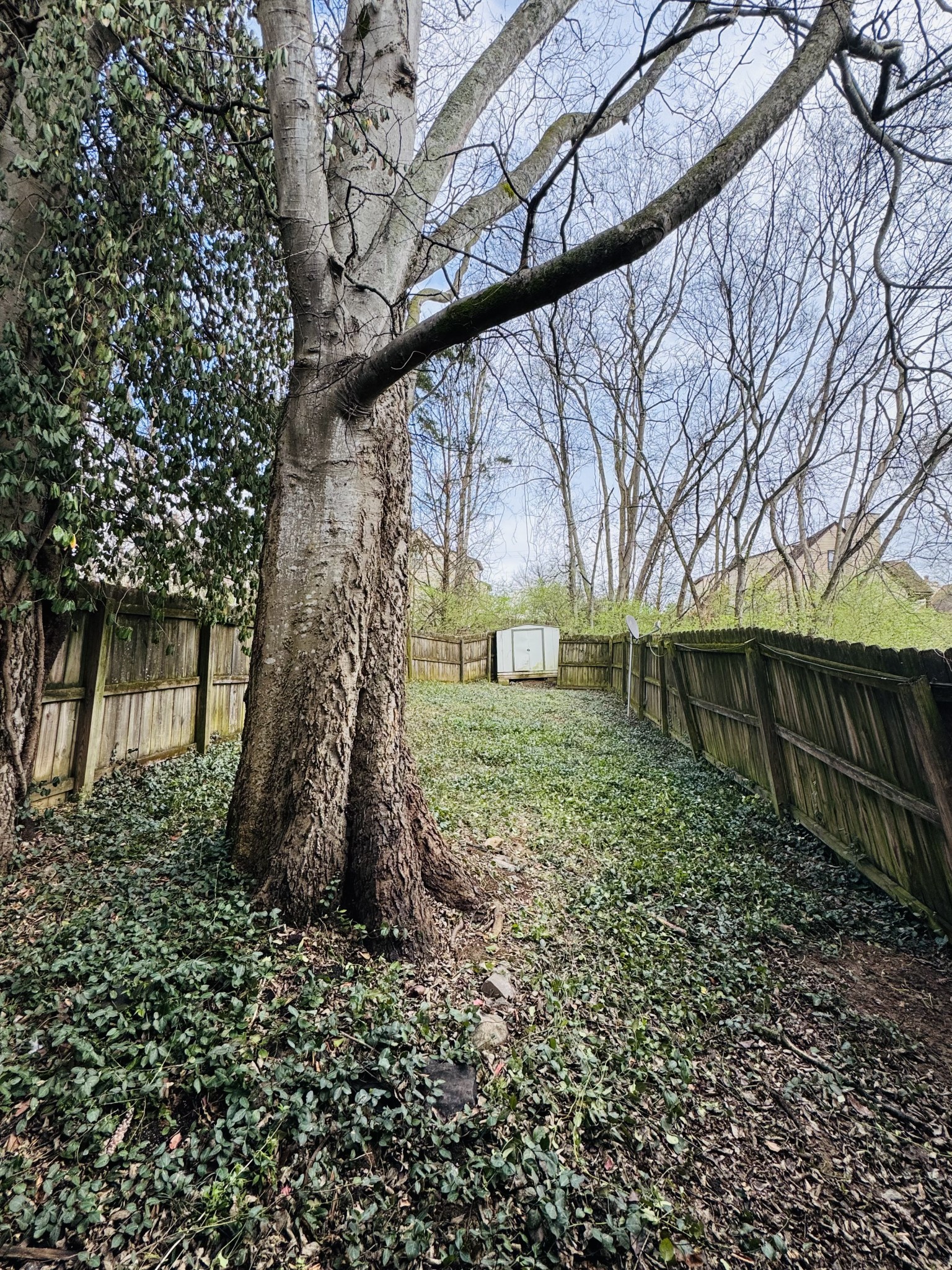 3228 Lakeford Drive Nashville TN 37214