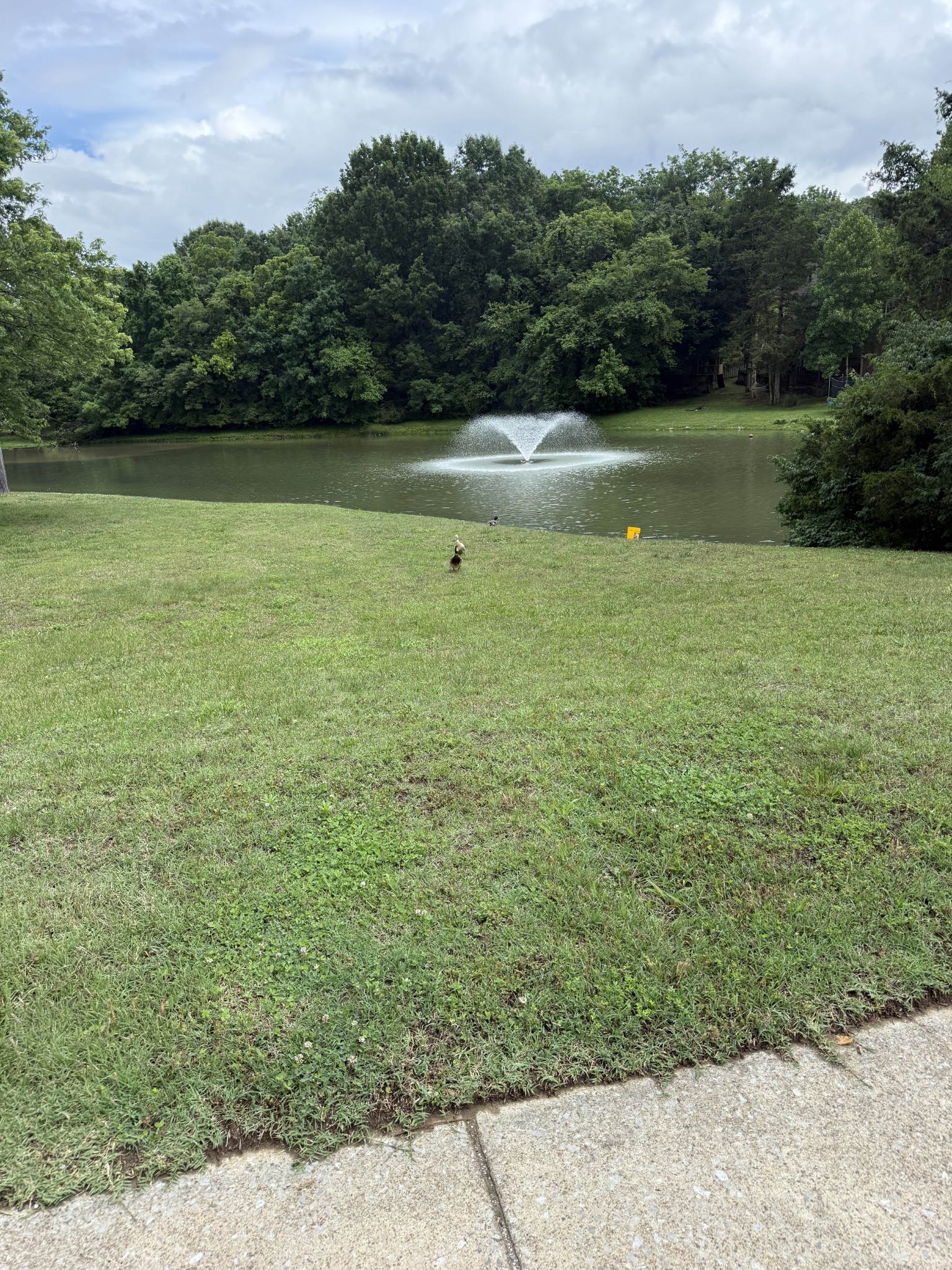 3009 Thornbury Place Old Hickory TN 37138