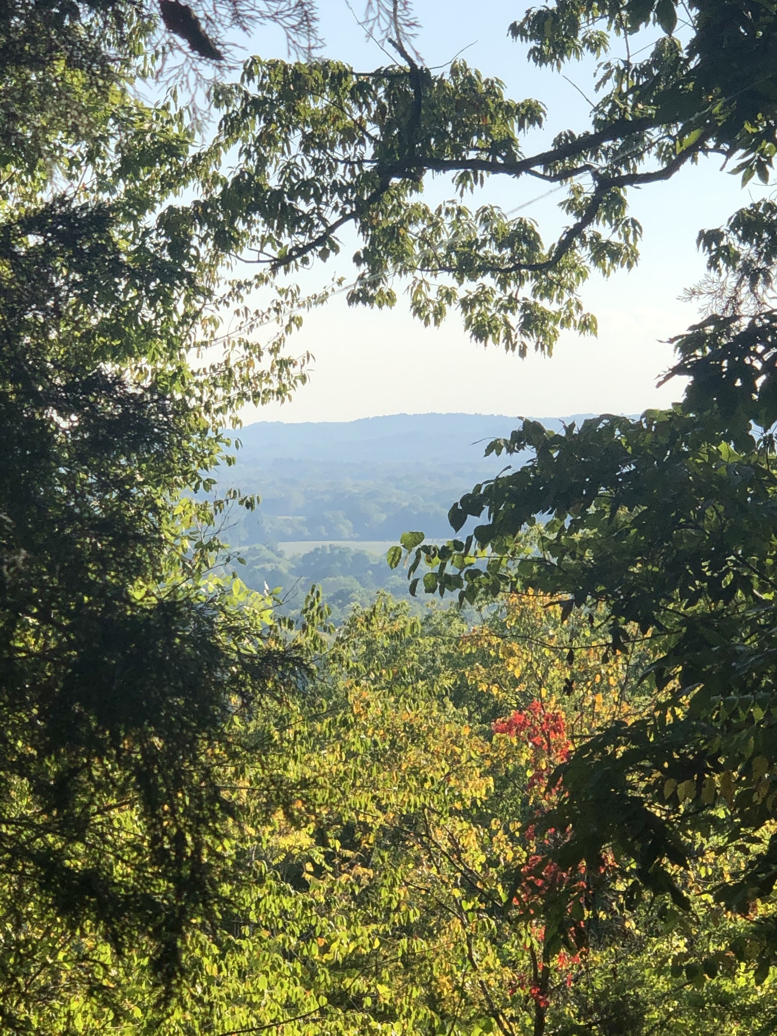 1462 Sneed Road, W Franklin TN 37069