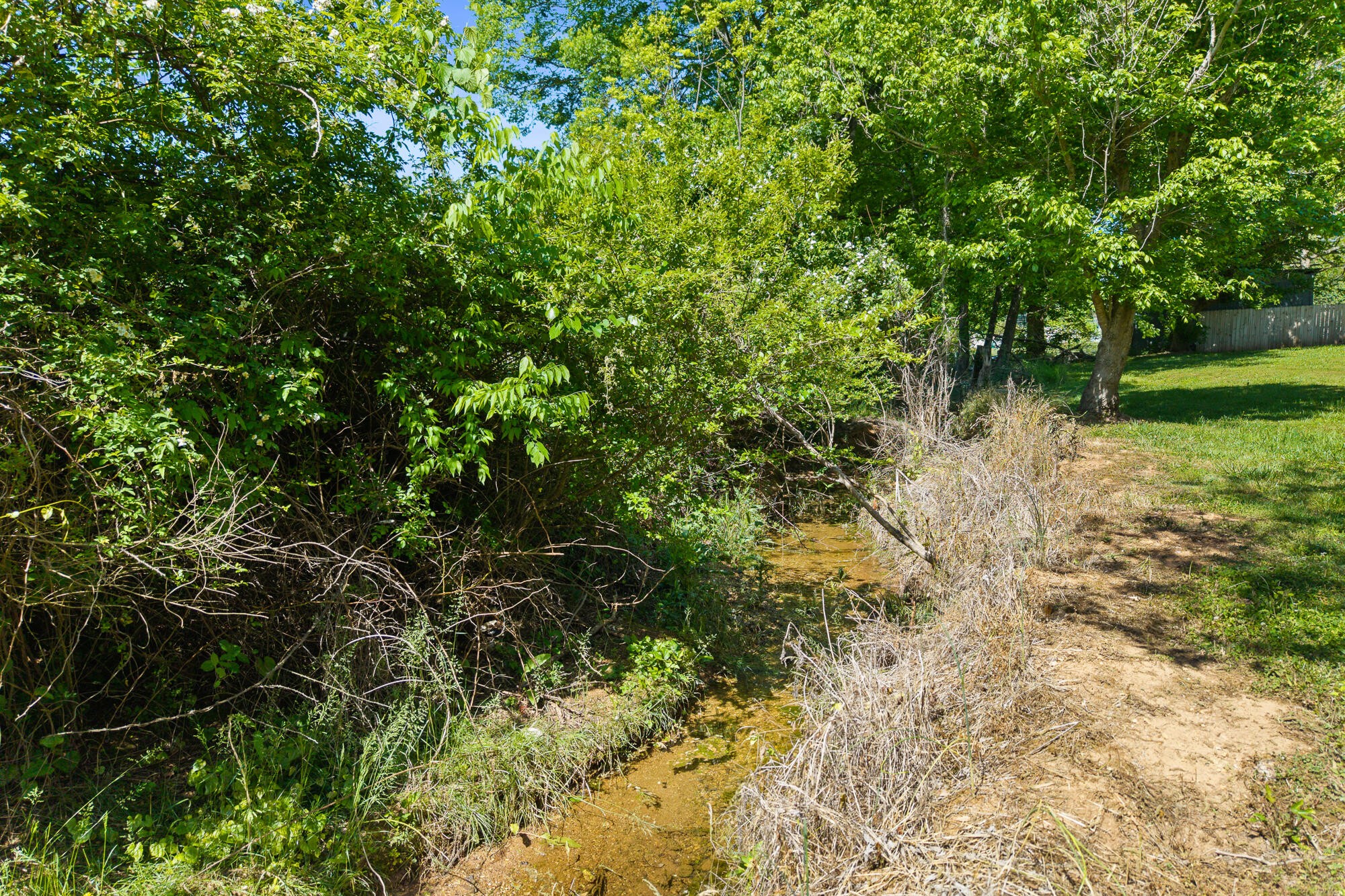 217 Oakland Road Sweetwater TN 37874