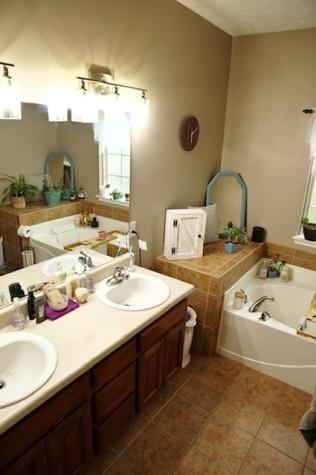 101 Blackhawk Court White House TN 37188