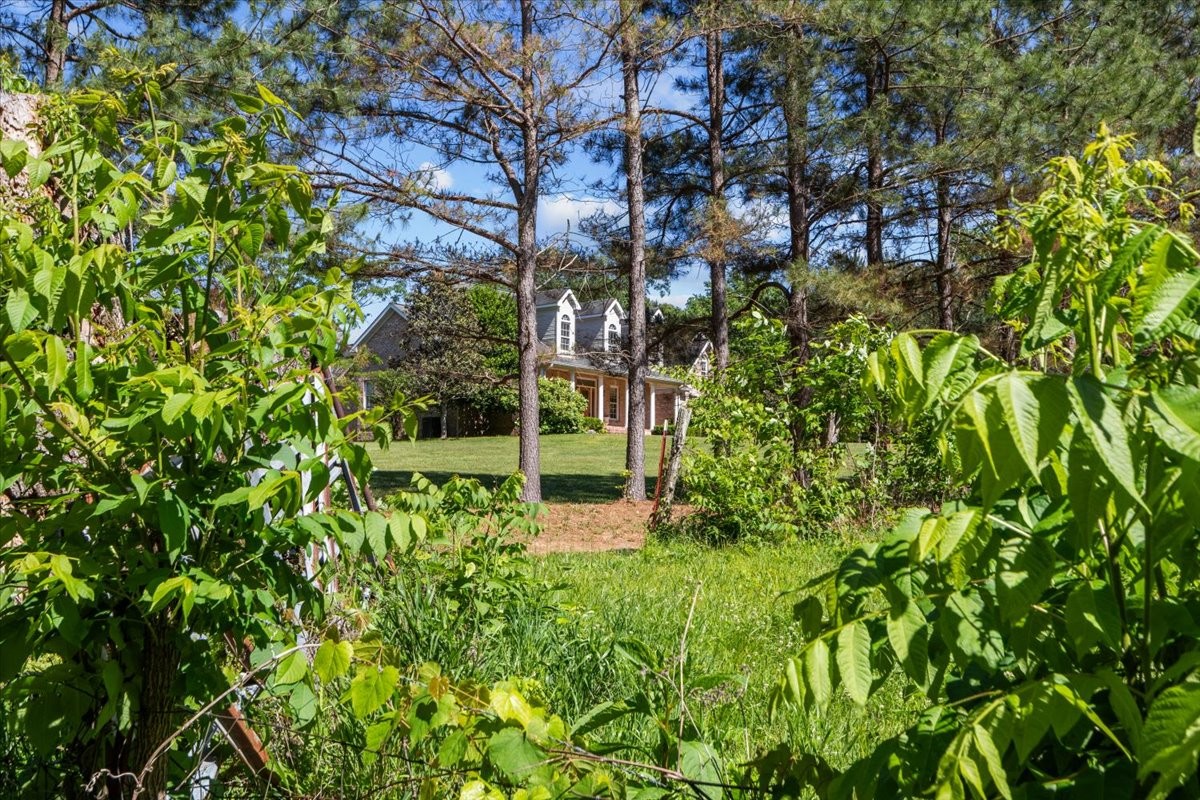 2440 Maple Grove Road Dickson TN 37055