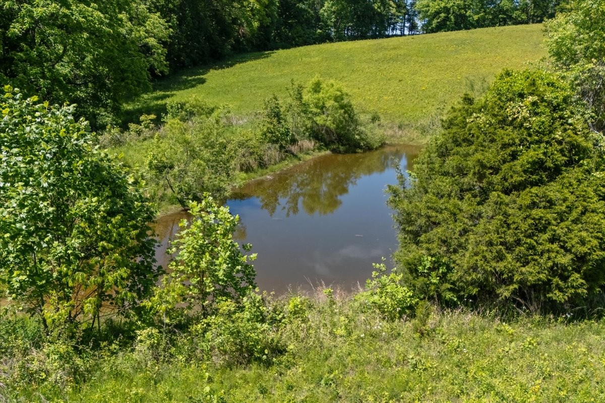 2440 Maple Grove Road Dickson TN 37055