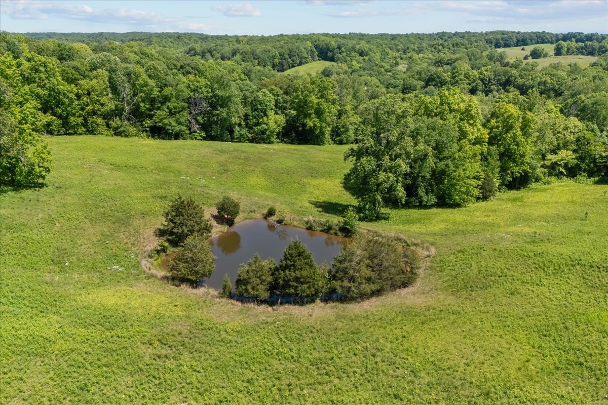 2440 Maple Grove Road Dickson TN 37055