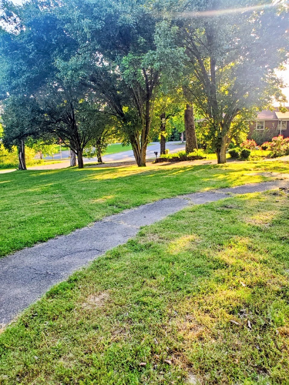 1104 Old Charlotte Road White Bluff TN 37187